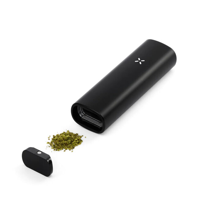 Heal Mary Pax Plus vape onyx zwart