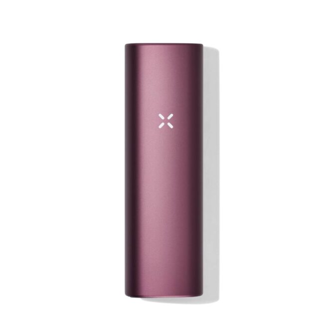 Heal Mary Pax Plus vapes periwinkle roze